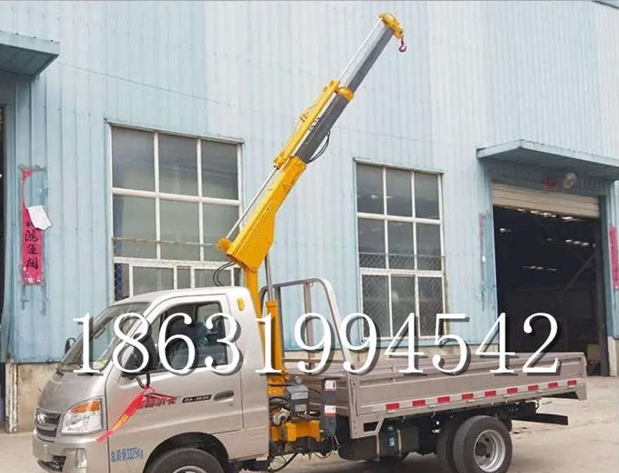 田阳区车载吊机220v移动吊机车载吊机小型车载吊机搬运田阳区附近家用车